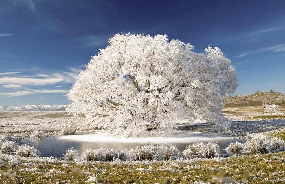 雪树银花太漂亮啦