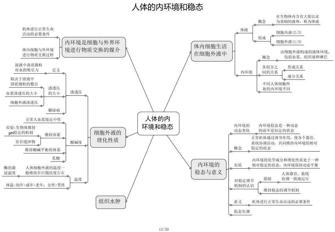 高中生物思维导图最全归纳必修选修