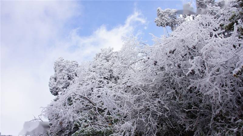 广西桂林:猫儿山首场雾凇惊艳登场