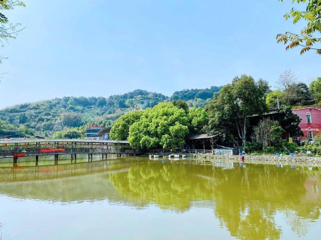 图源:龙台山生态园