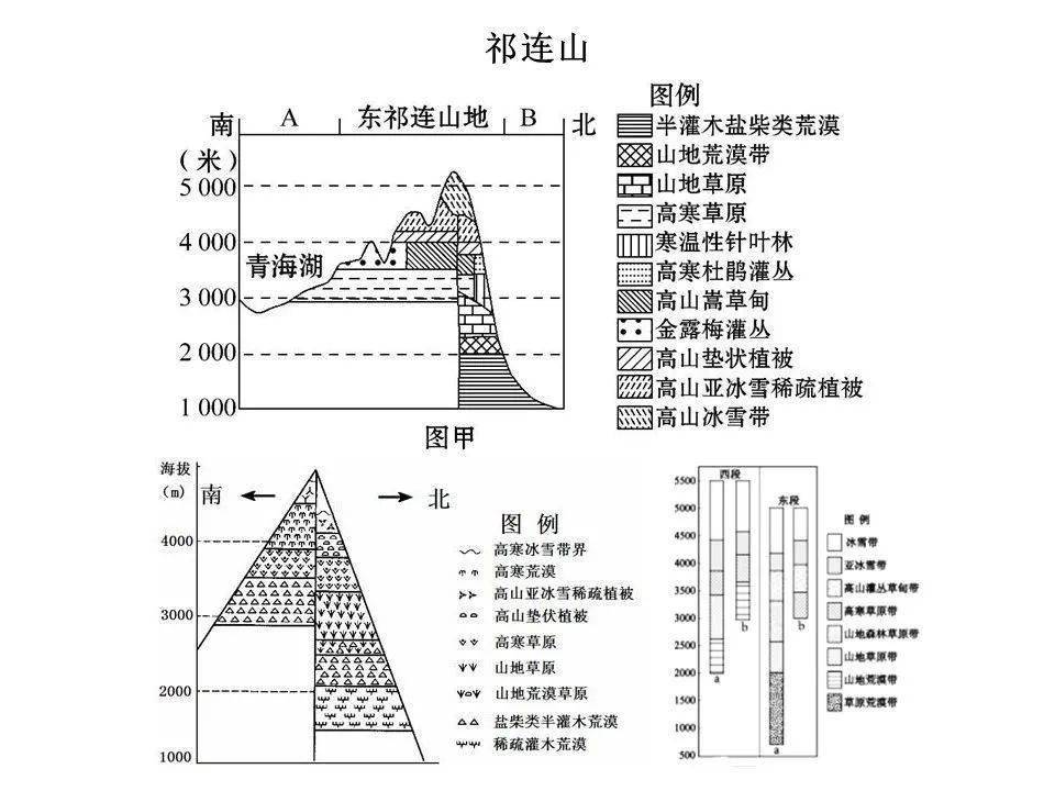 考点| 18座山脉的垂直自然带谱,总结全了!