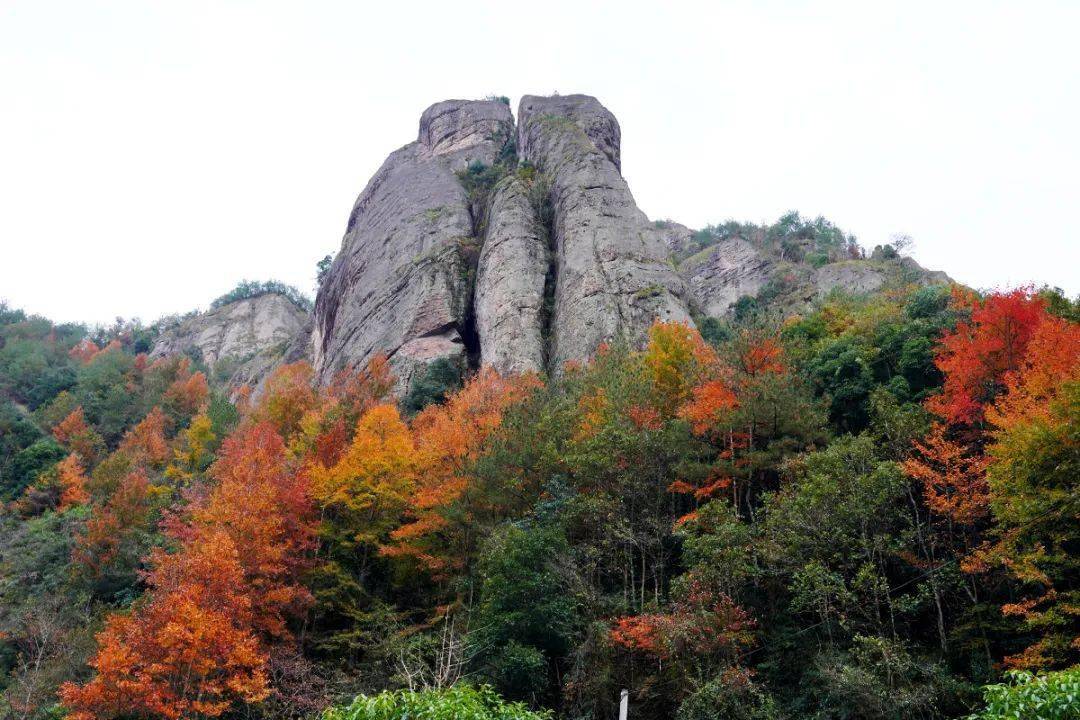 缙云岩门"枫"景如画!