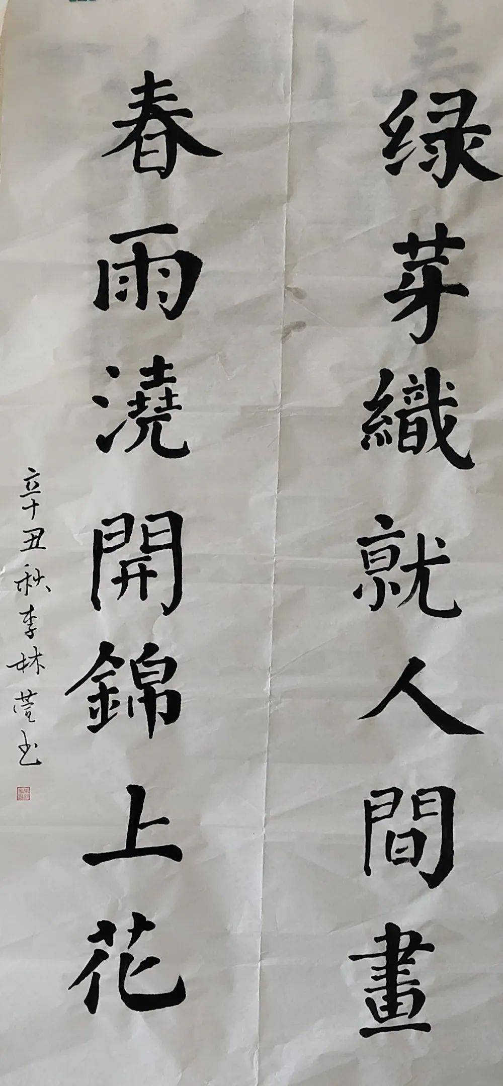 年龄:9岁 指导老师:单志慧 组织单位:安阳道口镇实验