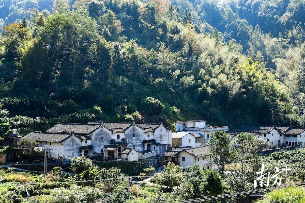 驱车前往梅县区雁洋镇石楼村,山路十八弯.