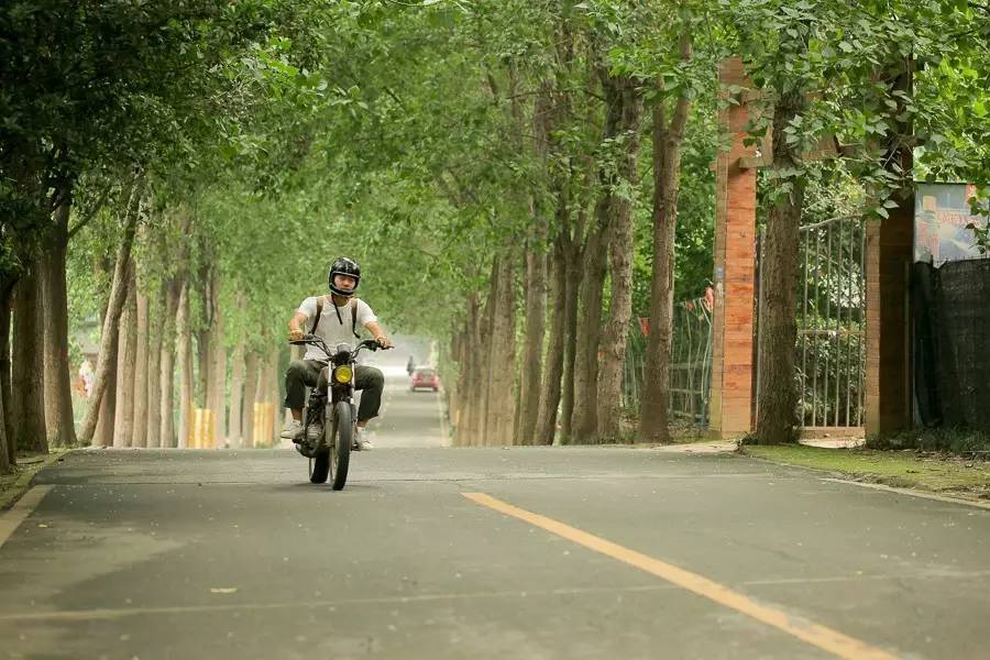 小院|600㎡废弃小院改造