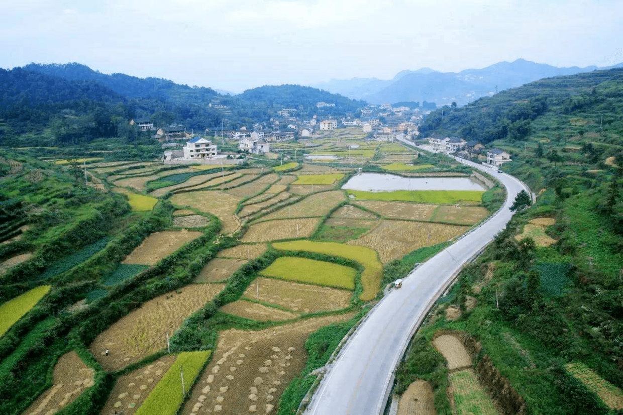 一棵青㭎树(组诗五首—郭金世