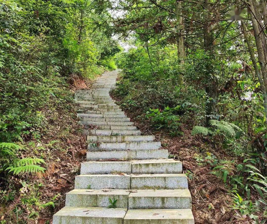 木栈道△依山而建怀化罗子山登山步道是湖南潇湘健身步道体系率先