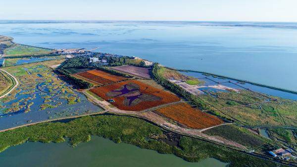 这里是生态查干湖_景区_湖面_松原市