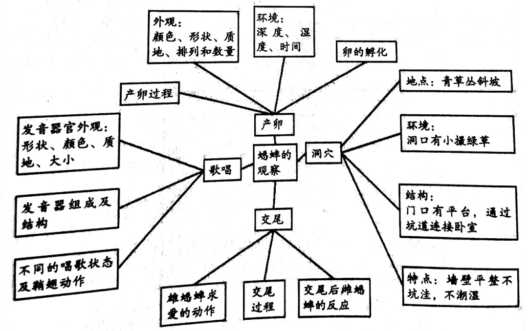 一个少年遇上法布尔,会擦出怎样的"生命火花"?