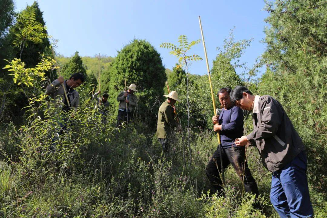 重37丨发现霸陵四大证据刚刚揭开谜底这位墓主是从山西走出去的汉