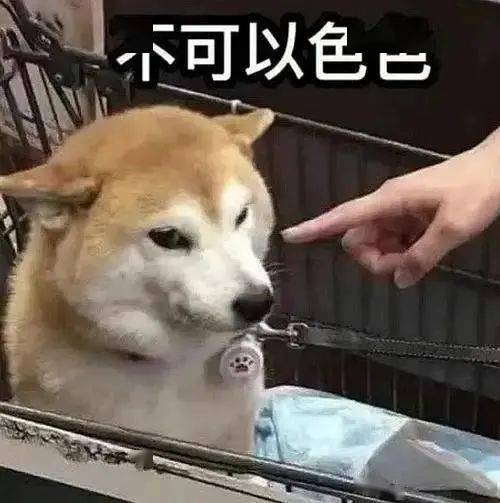 爱生活2021年度十大表情包出炉你用过几个