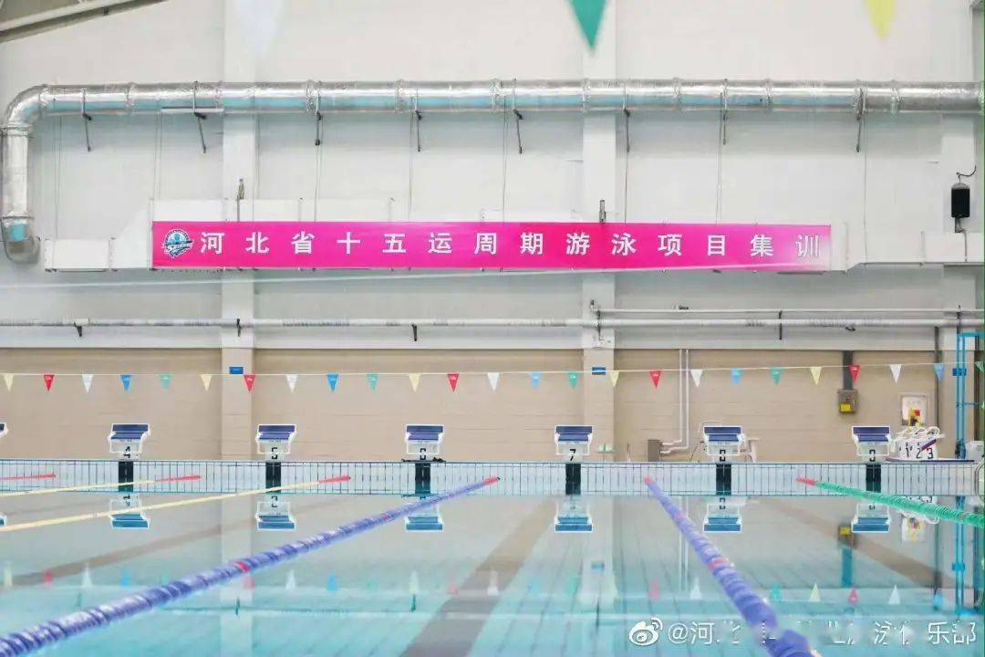 自豪河北泰华锦业游泳俱乐部队员出征世锦赛