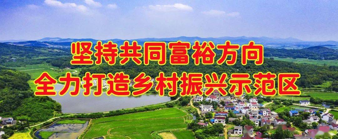 乡村振兴坚持共同富裕方向全力打造乡村振兴示范区