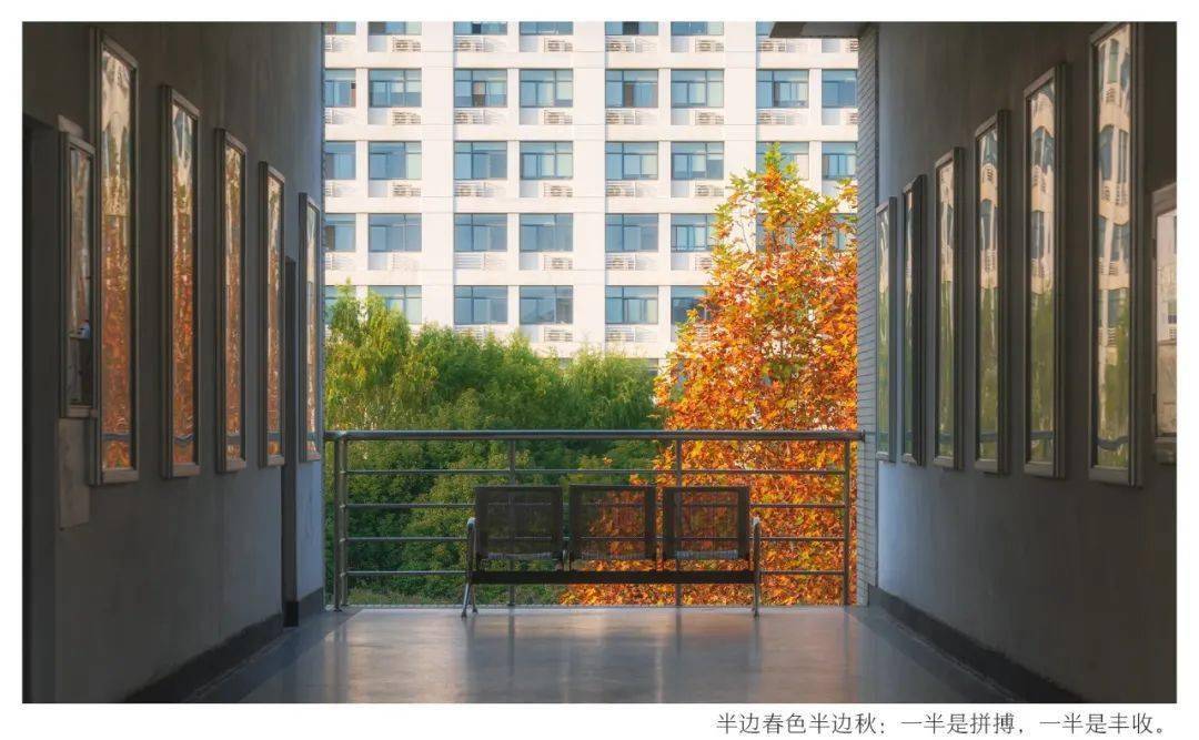 seu考研明信片2022我们一研为定