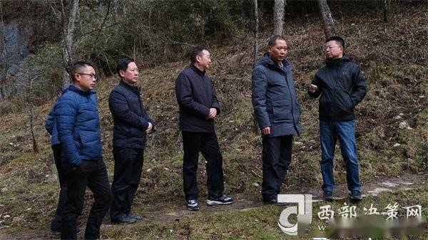 镇巴县委副书记,代县长贾晓伟深入国有巴山林场调研督导巴山生态保护