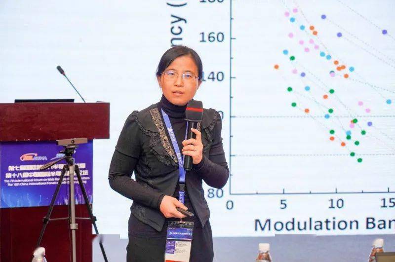 主持人:天津工业大学电气工程学院常务副院长,教授赵丽霞