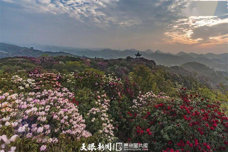数花峰颠上,乌蒙山脉如褶皱般铺开的千峰万嶂一览无余.