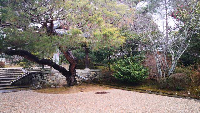 日本寺院“枯山水”体现禅意，原是由我国传入