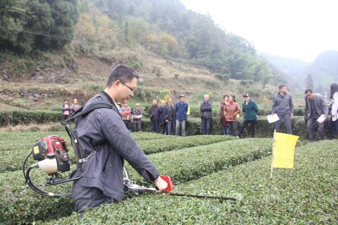 曾维超:总体来看,今冬呈前冬暖,后冬冷的趋势,最冷时段或出现在1月