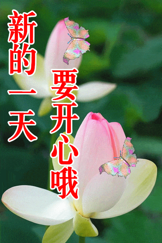 早安吉祥:用相对的眼光看世界,万事有长必有短,早安