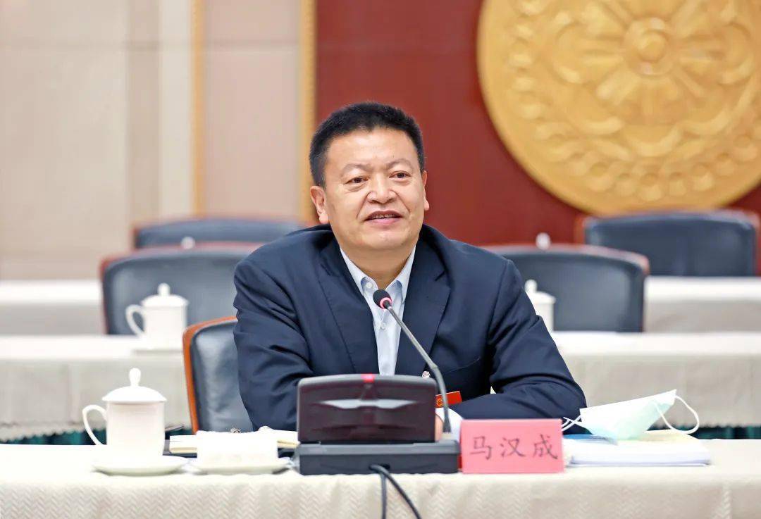 马汉成参加西吉县分团审议时说:树立真抓实干新作风