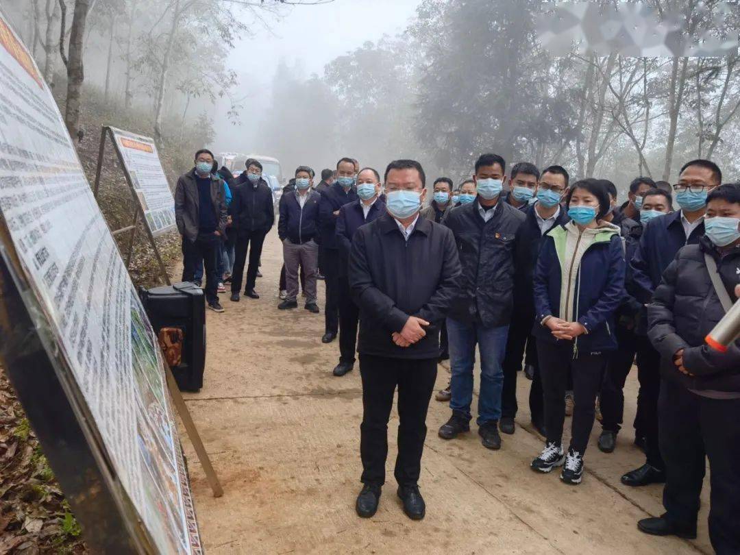 落实促发展—西盟县召开农业产业发展现场推进会_张光魁_岳宋乡_工作