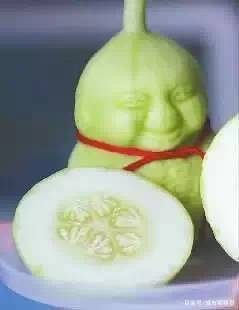 5920c807c5914a458cf25056c508397b.jpeg