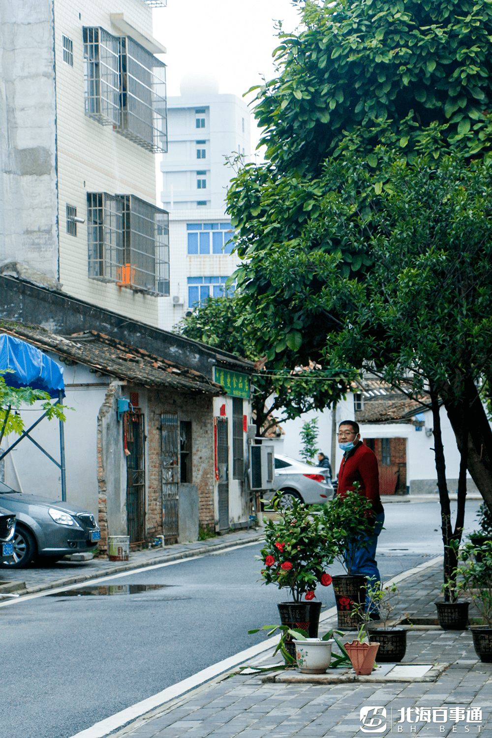 经过2020年背街小巷提升改造后,整个大囊的环境都得到了提升,小巷子都