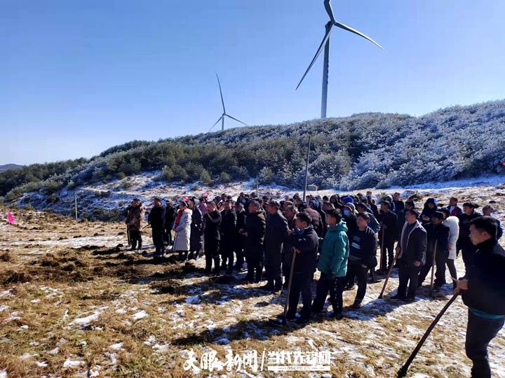 赫章县结构乡乌蒙高原种下绿色希望