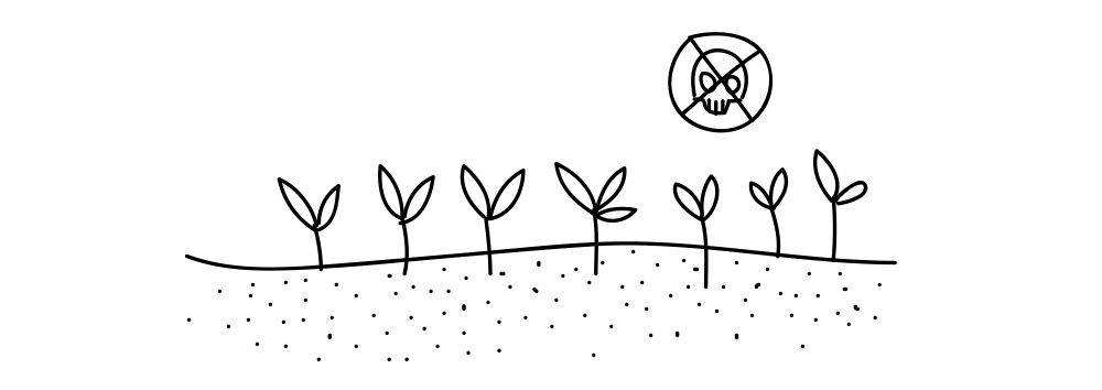 施肥以有机肥生物肥料等为主,灌溉水为无污染的水.
