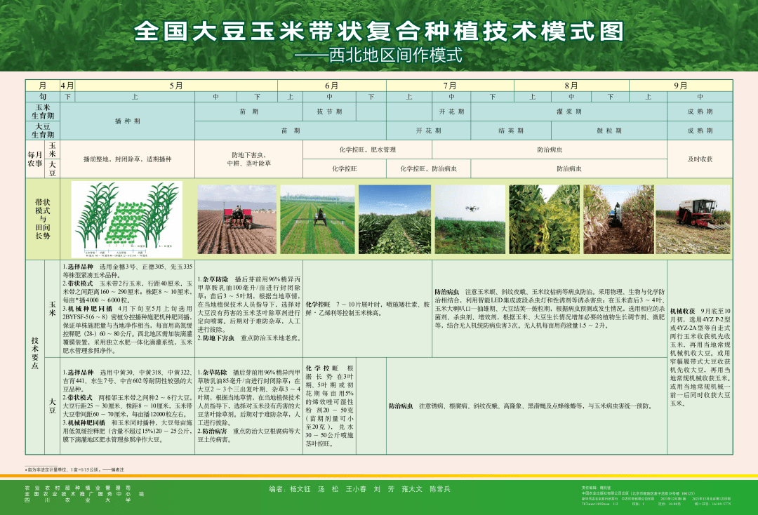 重磅消息大豆玉米带状复合种植指南发布