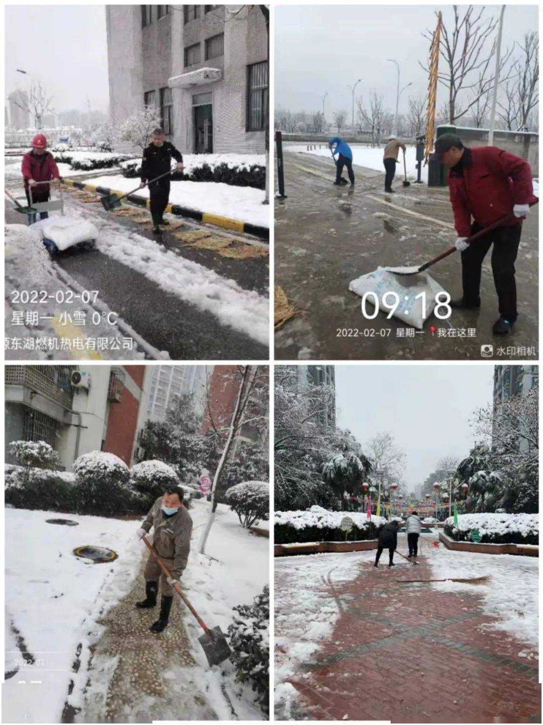 迅速行动 组织清扫大雪纷飞瑞雪兆丰年!