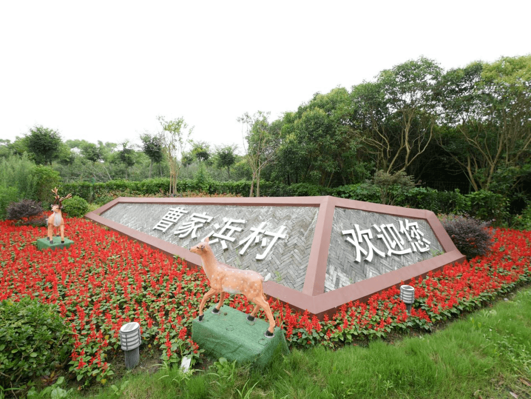 家浜公路位于上海市松江浦南地区泖港镇,地理位置优越,外部连接省道叶