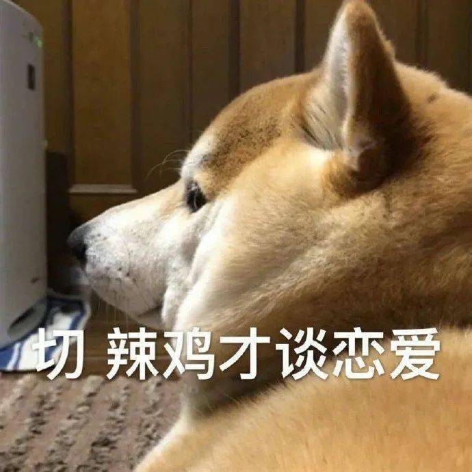 单身狗の表情包,2-14_对象_鸭灿_单身