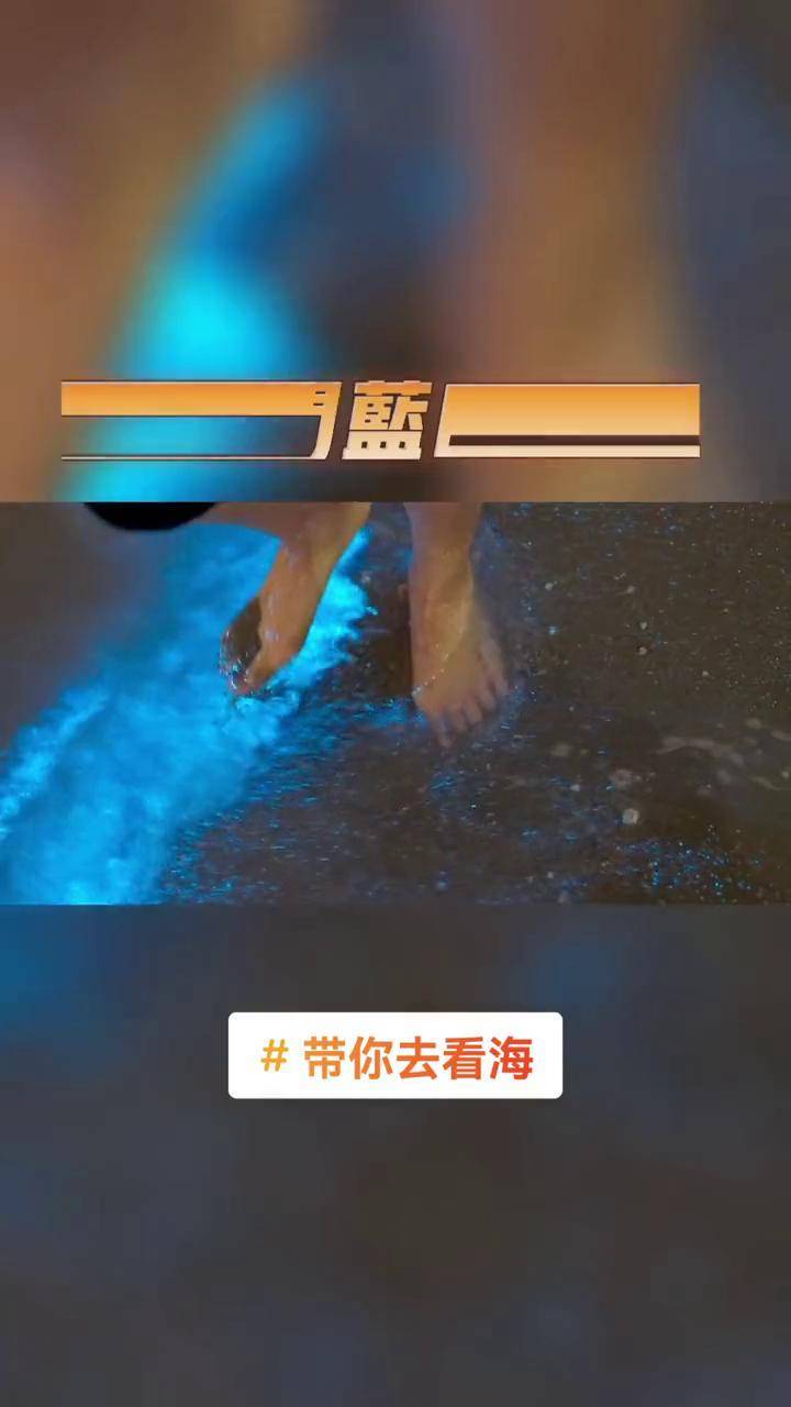 带你去看海创作有数这是张万森回来了海沧湾的蓝眼泪我来了