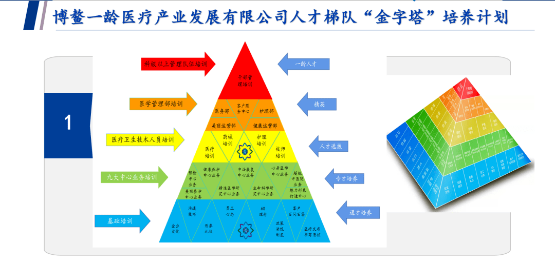 开年训系列05加快实施一龄人才团队金字塔培养计划大力引进培育各业务