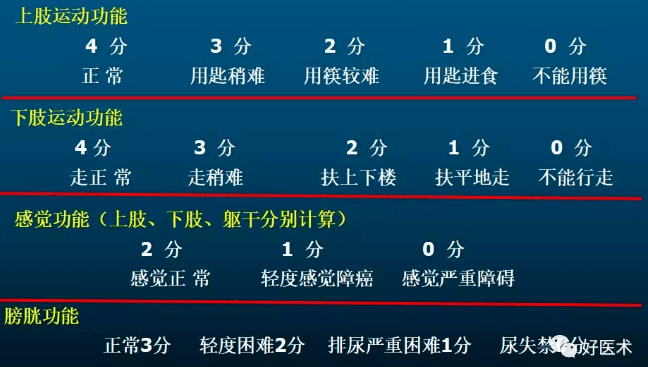 颈椎病解剖经典影像,超全汇总_关节_韧带_横径