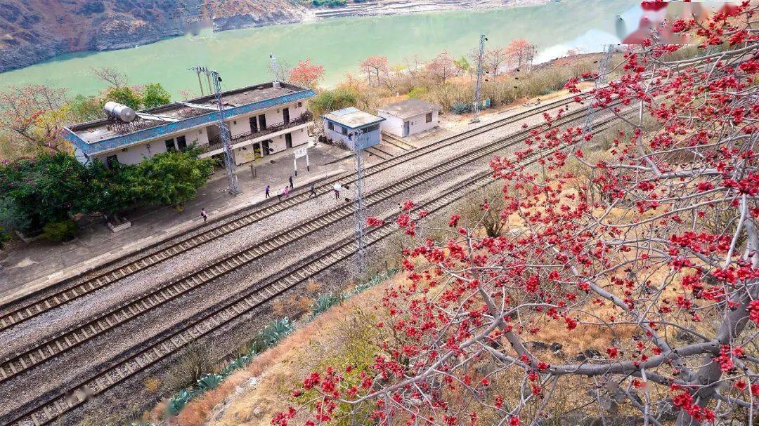 《花开好比朝霞艳》袁豆 摄《花挂枝头叶随风》丁锐 摄编者按:攀枝花