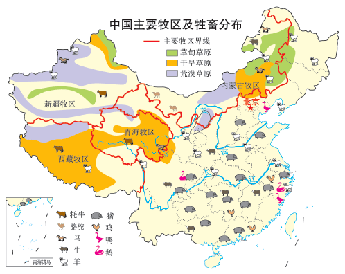 (2)我国四大牧区【补充】温带草原与高山草甸的比较2.