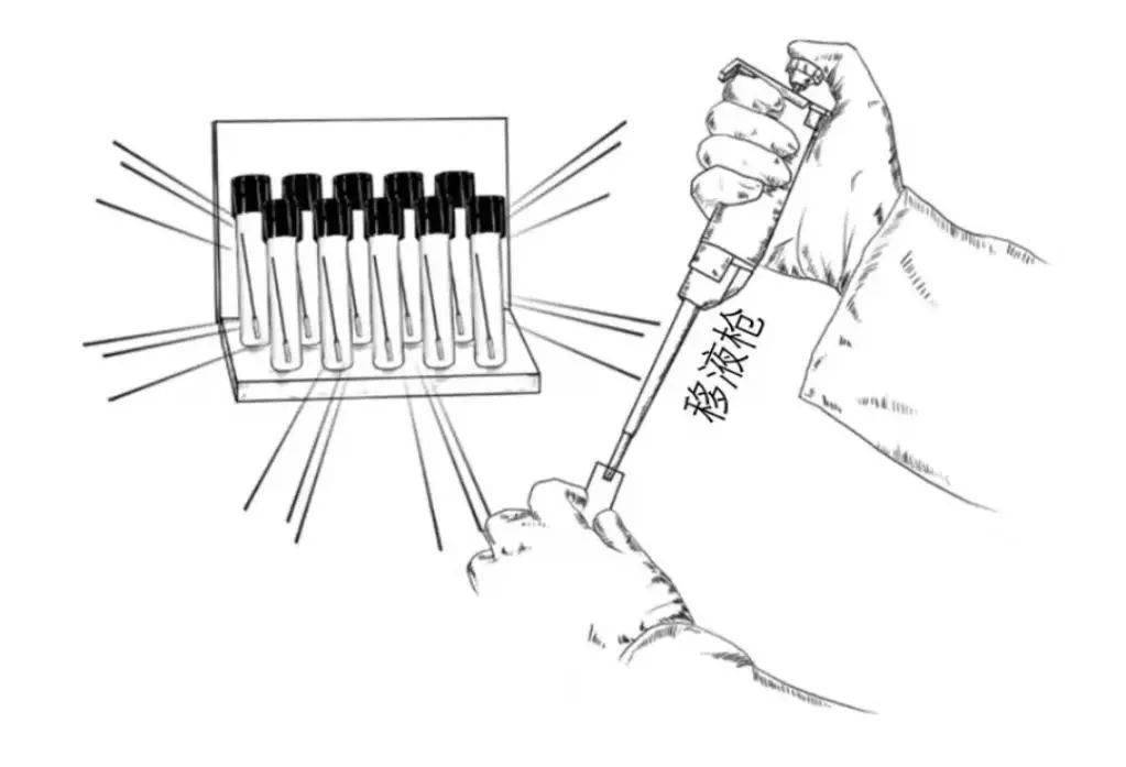 新冠病毒核酸检测全过程,您是否了解_样本_标本_进行