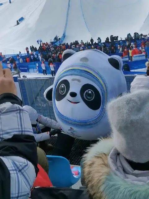 冰墩墩1a跳把自己转晕冰墩墩雪容融卡门翻车锦集冰墩墩成为了人们情绪