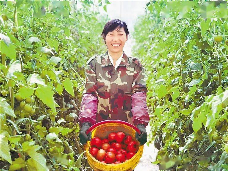 春回大地万物苏 春耕备耕正当时_农资_天水_蔬菜