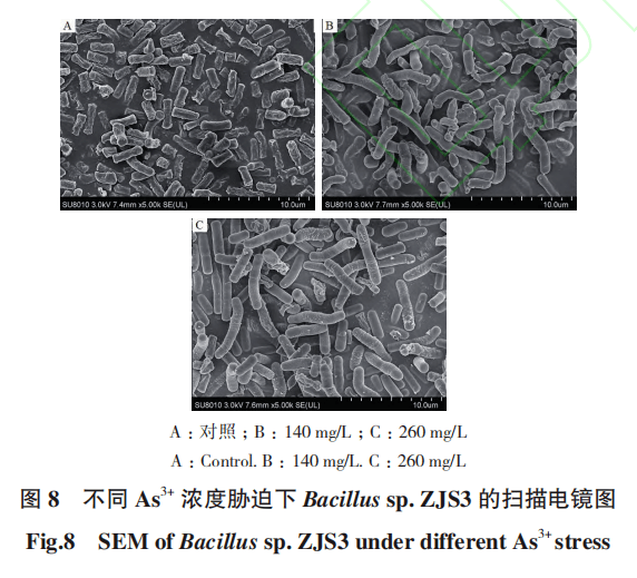 生物技术通报 | 3月最新上线文章(一)_转基因_植物_细胞