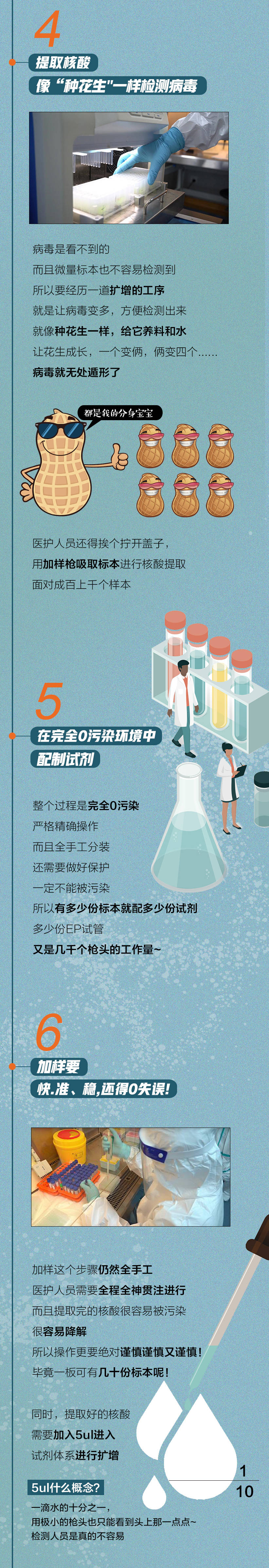 疫起科普长图丨为了您的绿码所有人都在拼命一图了解核酸检测全过程