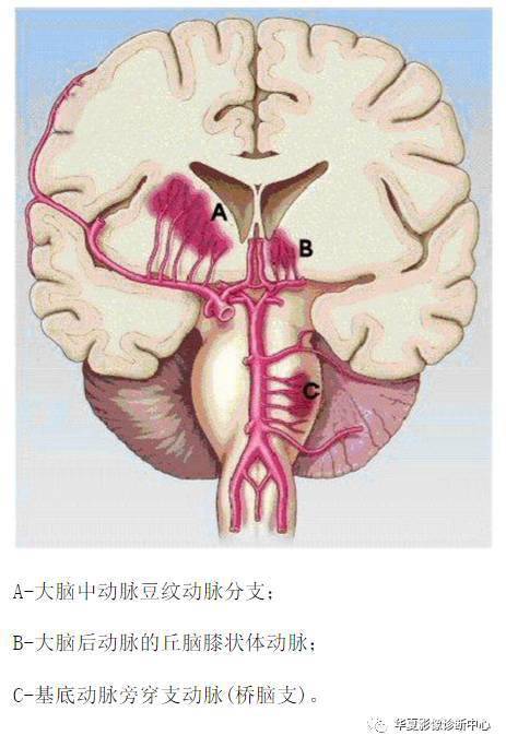 专家教您读懂肾功能化验单医云融合智能医疗·今天 11:05万病之源原来