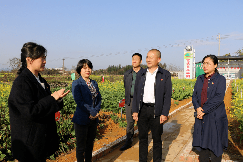 市委直属机关工委书记郑建忠一行来柘木镇视察调研_莫运珍_情况_菜园