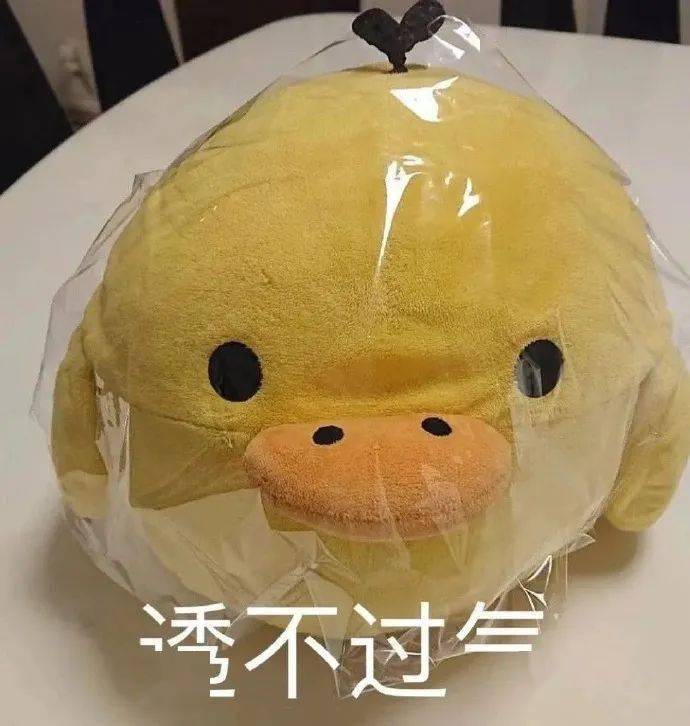 沙雕表情包i以后不许这样了