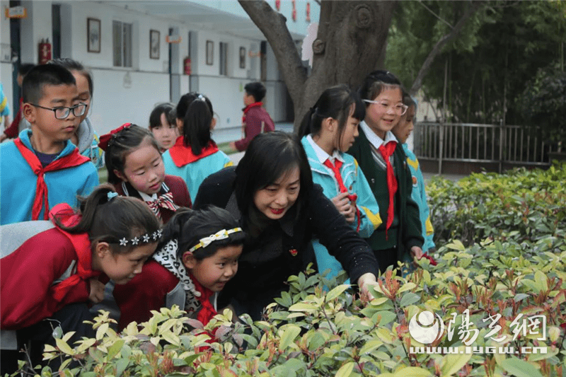 未央区枣园小学组织开展"植树节"系列活动_绿色_植物_实践