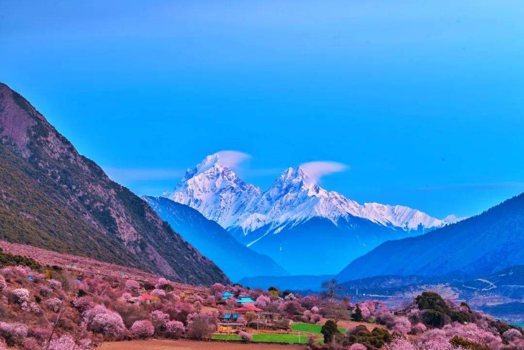 邂逅中国最美春天,寻觅世外桃源~西藏桃花篇_林芝_雪山_森林