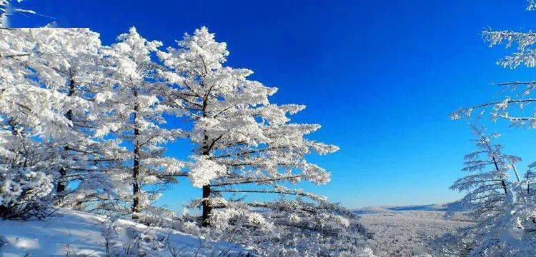 美图春雪纷飞美景如画